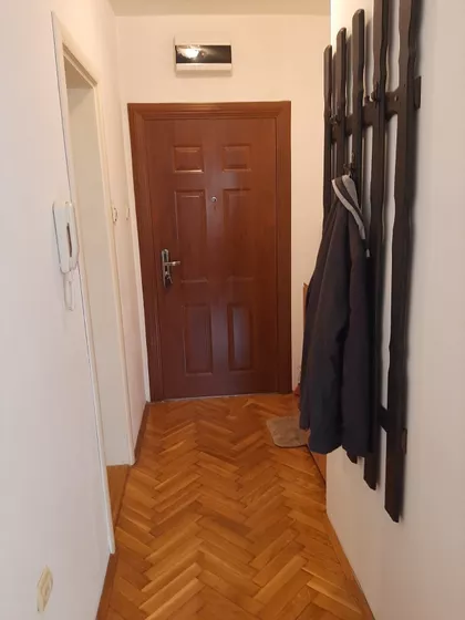 Dr Svetislava Kasapinovića | 4zida.rs