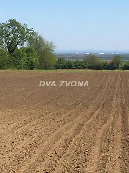 Čortanovci | 4zida.rs