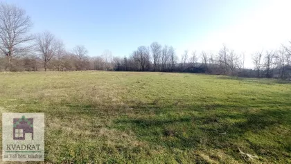 Draževac | 4zida.rs