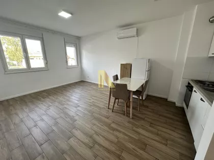 Salajka | 4zida.rs