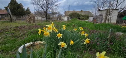 Mileševo | 4zida.rs