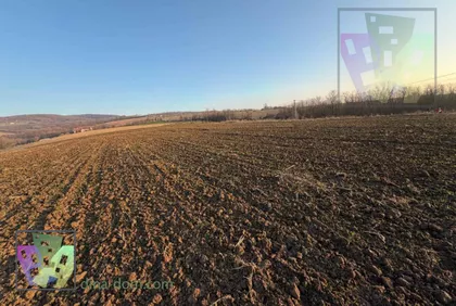 Save Kovačevića | 4zida.rs