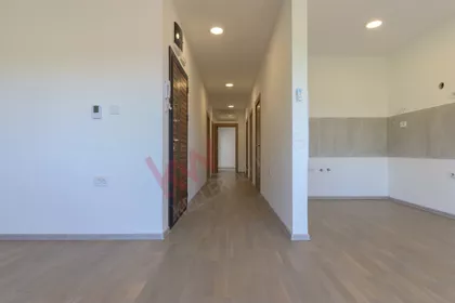 Tihomira Arsića | 4zida.rs
