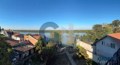 Sibinjanin Janka-Zemun | 4zida.rs