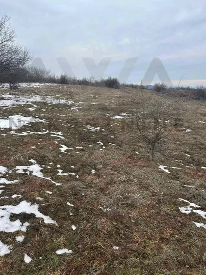 Gradske lokacije | 4zida.rs