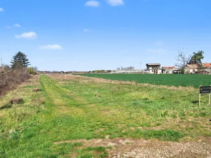 Misa Vinogradi | 4zida.rs