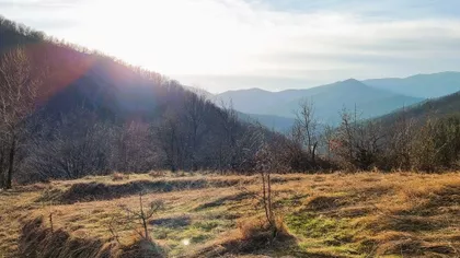 Zaselak Vlašac 1 | 4zida.rs