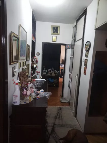 Despota Olivera | 4zida.rs