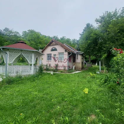 Alibegovac | 4zida.rs