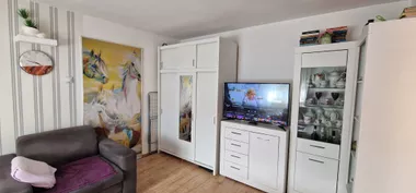 Radijalac
