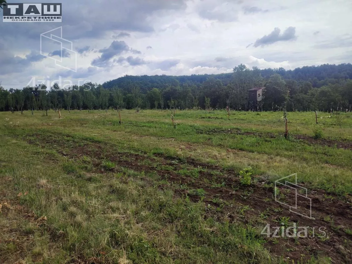 Plac | 4zida