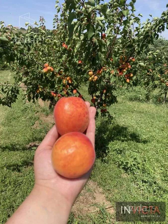 Poljoprivredno zemljište | 4zida