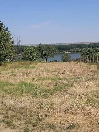 Krčedin | 4zida.rs