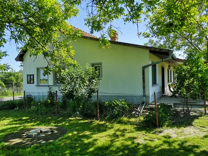 Muškatla | 4zida.rs
