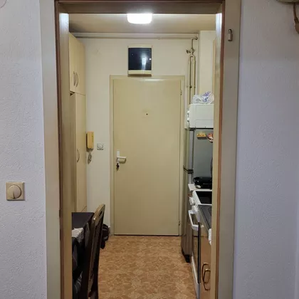 Spasenije Cane Babović | 4zida.rs