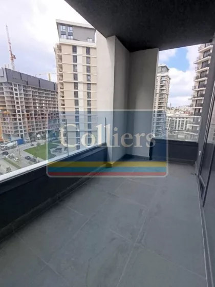 Vudroa Vilsona | 4zida.rs