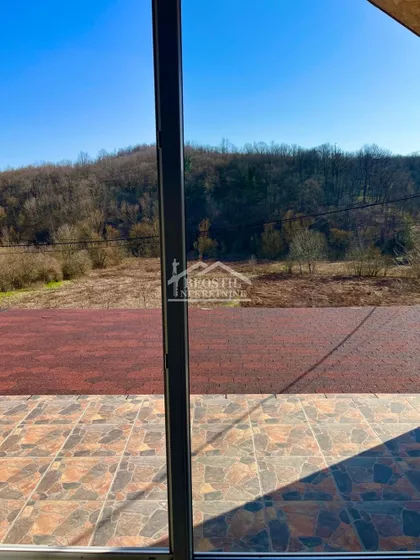 Janka Katića | 4zida.rs