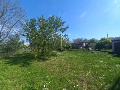 Đurđije Cvetić | 4zida.rs