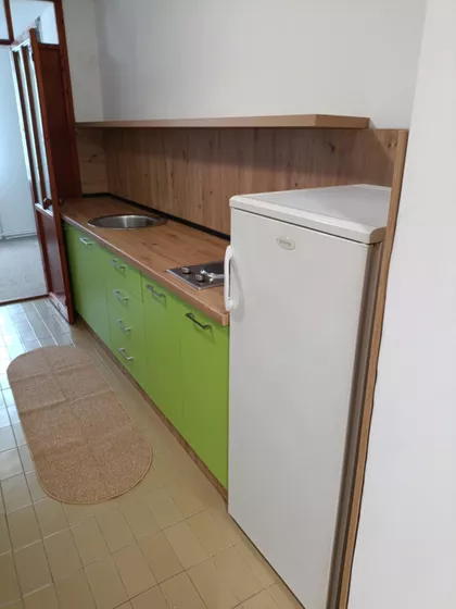 Zlatka Šnajdera | 4zida.rs