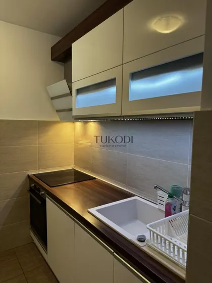 Petra Kočića | 4zida.rs