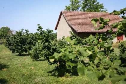 Mala Bosna Salaši Salas 348 | 4zida.rs