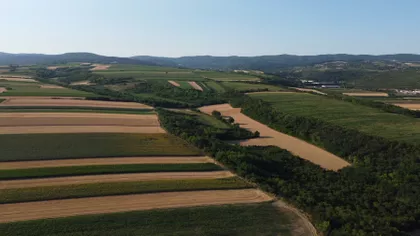 Vrdnik | 4zida.rs
