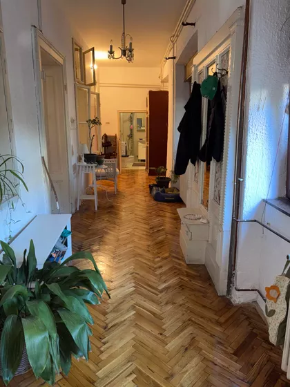 Zmaj Jovina | 4zida.rs