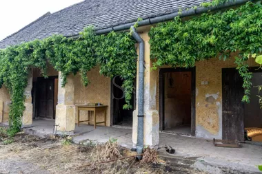 Riđica