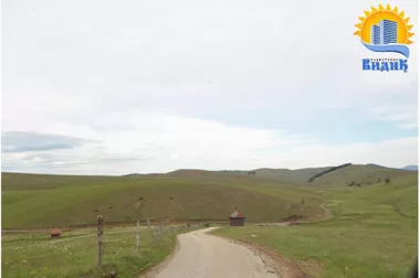 Gajevi