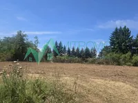 Banstol, Okolne lokacije, Sremski Karlovci | 4zida.rs