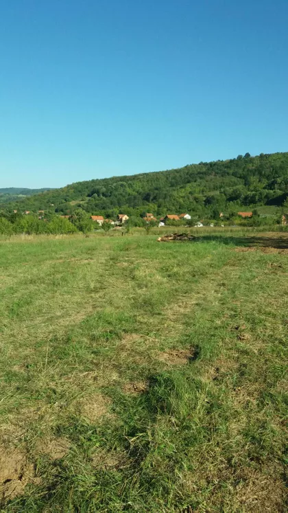 Milorada Miljkovića | 4zida.rs