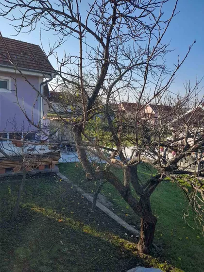 19. oktobra | 4zida.rs