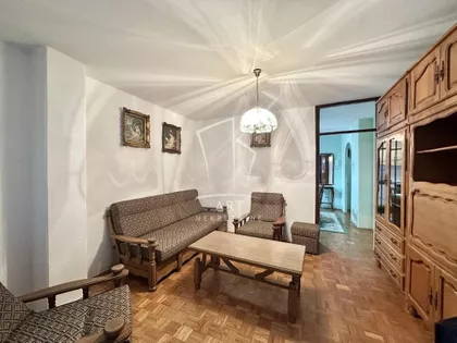 Dr Ivana Ribara | 4zida.rs