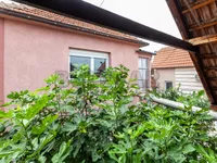 Branko Bjegović, Crveni Krst, Gradske lokacije, Niš | 4zida.rs