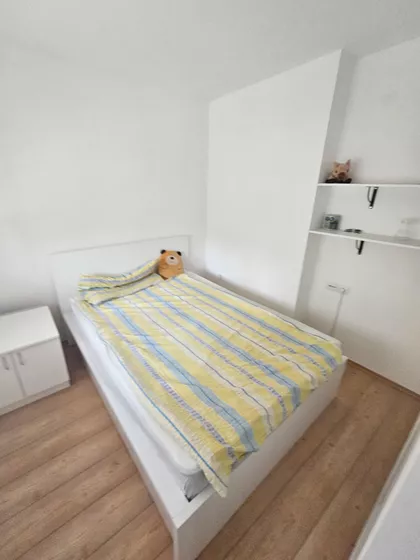 Pivara | 4zida.rs