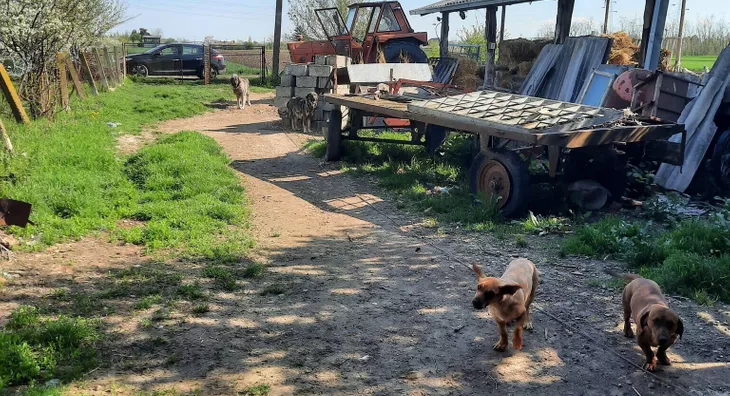 Poljoprivredno zemljište | 4zida