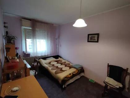 Dr Ivana Ribara | 4zida.rs