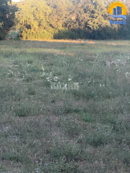 Veliki Borak | 4zida.rs