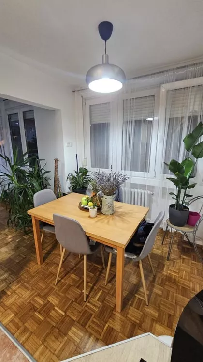 Novi Sad - Centar | 4zida.rs