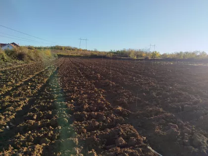 Četvrtog Jula 4 Prilaz | 4zida.rs