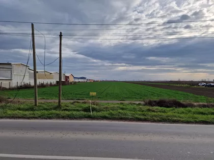 Pukovnika Milenka Pavlovića | 4zida.rs