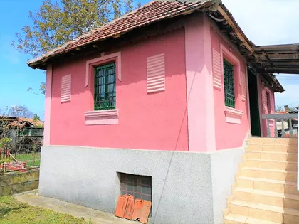 Rožina | 4zida.rs