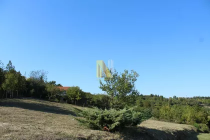 Sremska Kamenica | 4zida.rs