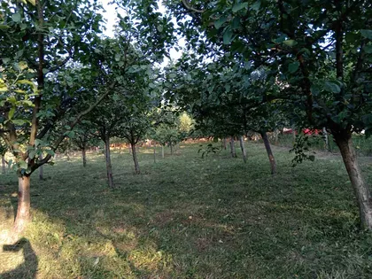 Stevana Mokranjca | 4zida.rs