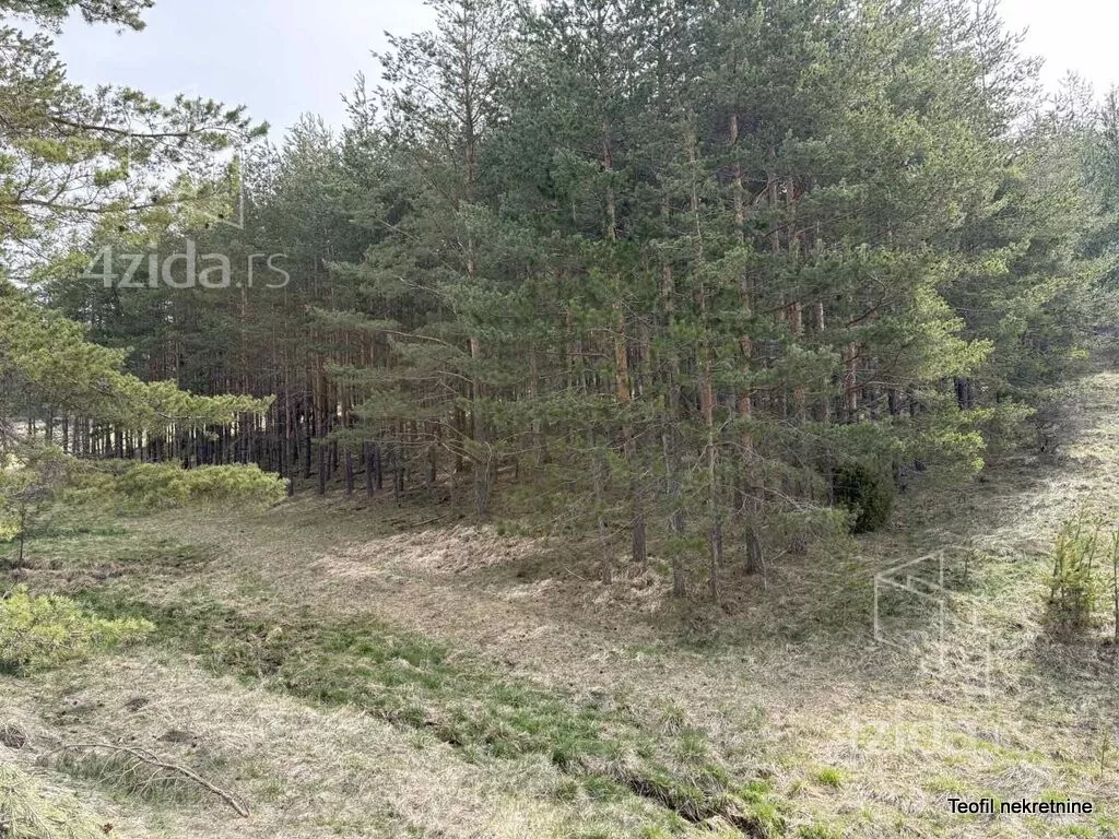 Plac | 4zida