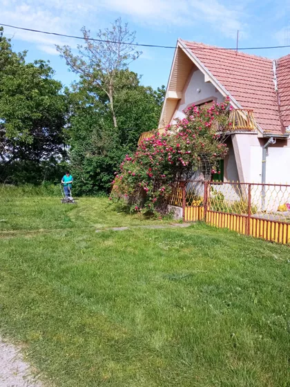 Žarka Zrenjanina | 4zida.rs