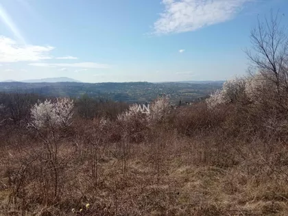 Mala Ivanča | 4zida.rs