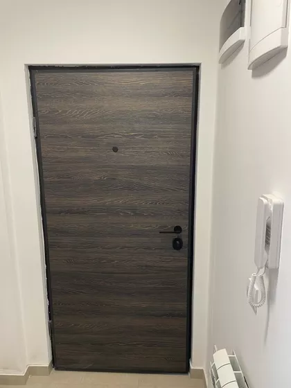 Dimitrija Lazarova-Raše | 4zida.rs