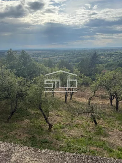 Draževac | 4zida.rs