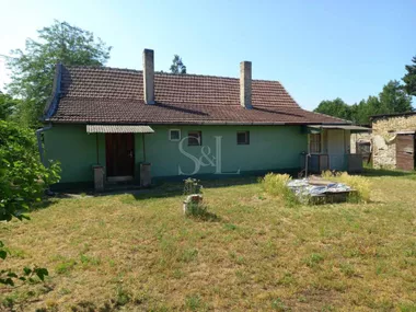 Zorka